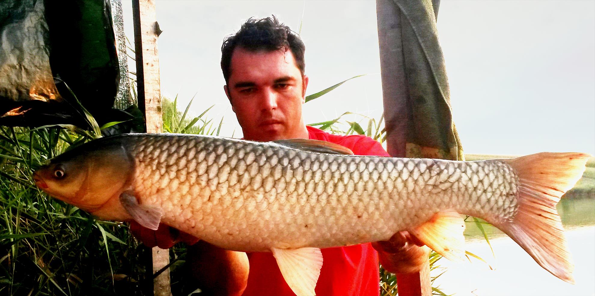 Magura 9 16 - 17 aug. - 20140816194152.jpg